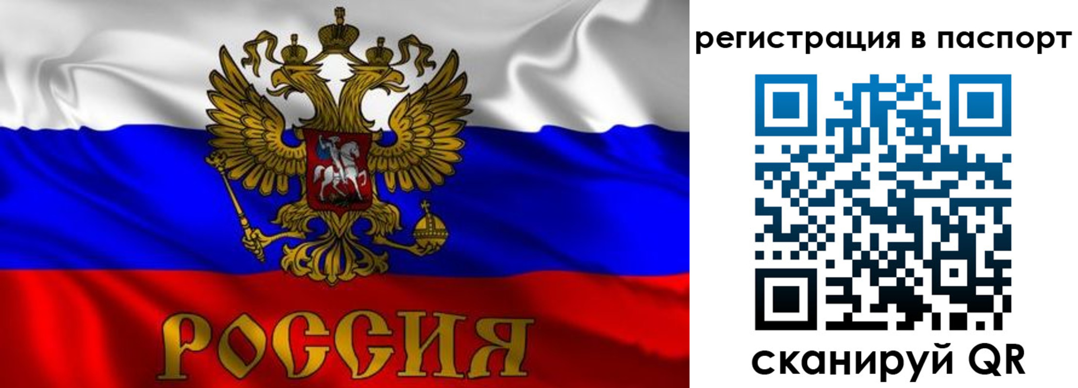 найти адрес прописки в Арамили